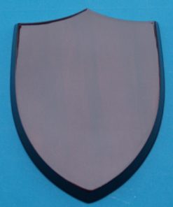 Board Only: 3 point Navy Shield